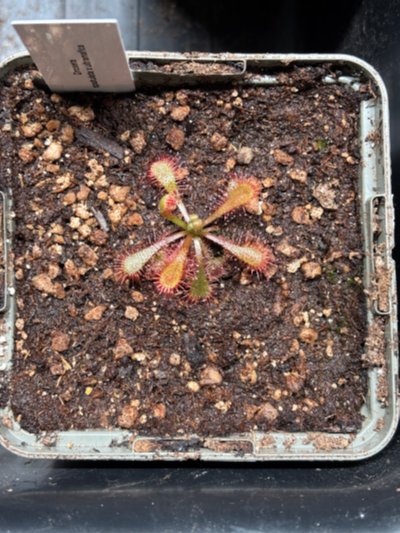 Photo de contribution