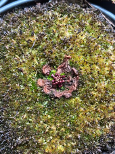 Photo de contribution