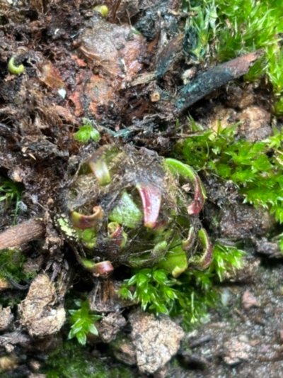 Photo de contribution