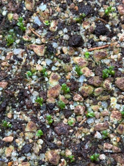 Photo de contribution