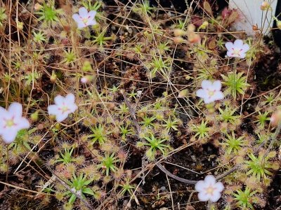 Photo de contribution