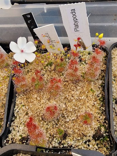 Photo de contribution