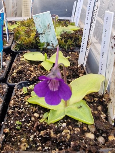 Photo de contribution