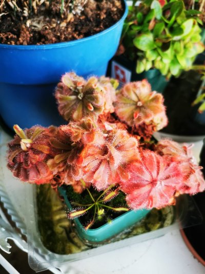 Photo de contribution