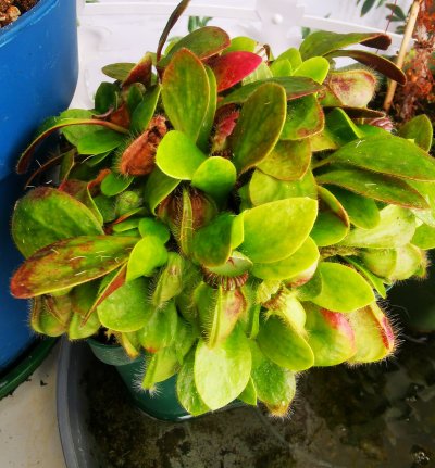 Photo de contribution