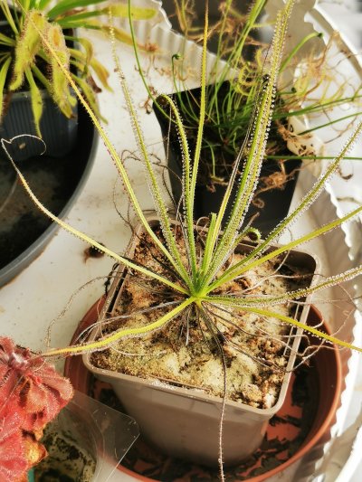 Photo de contribution