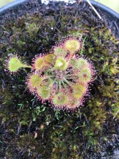 Photo de contribution