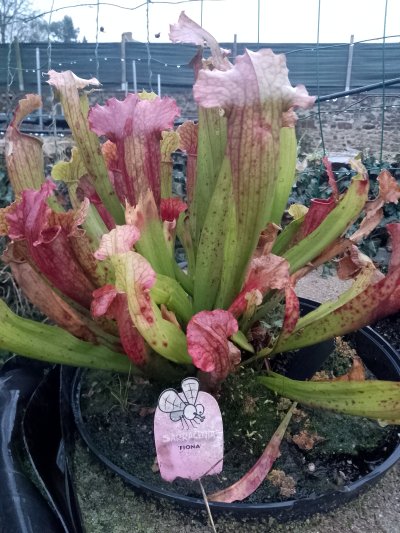 Photo de contribution