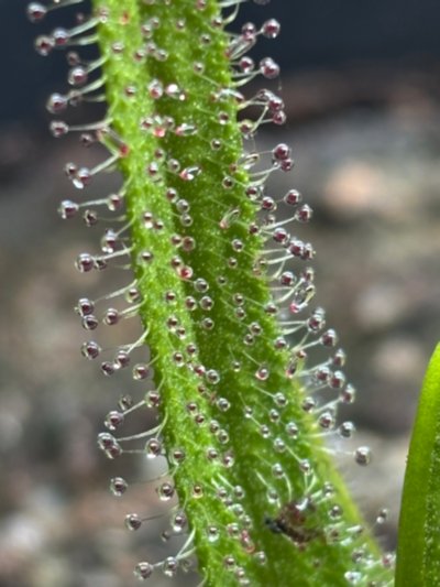 Photo de contribution