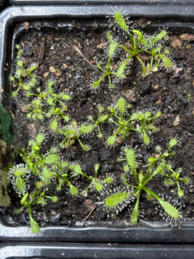 Photo de contribution