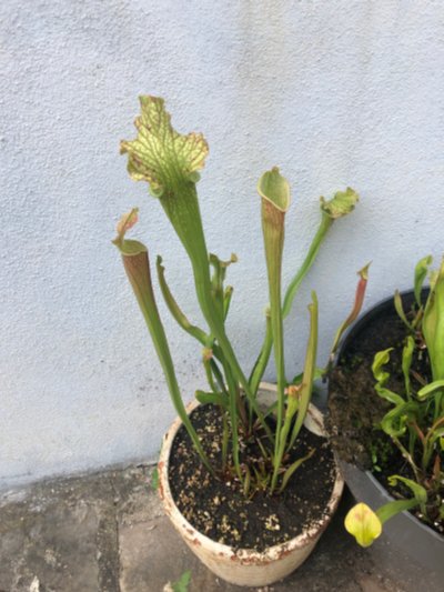 Photo de contribution